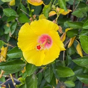 Meet your Posher, Leanne